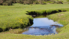 potok countryside-901965 1280
